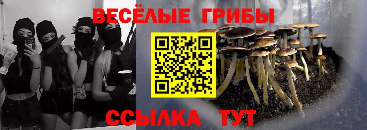 Губкинский  Галлюциногенные грибы Magic Shrooms  Вход с VPN 
